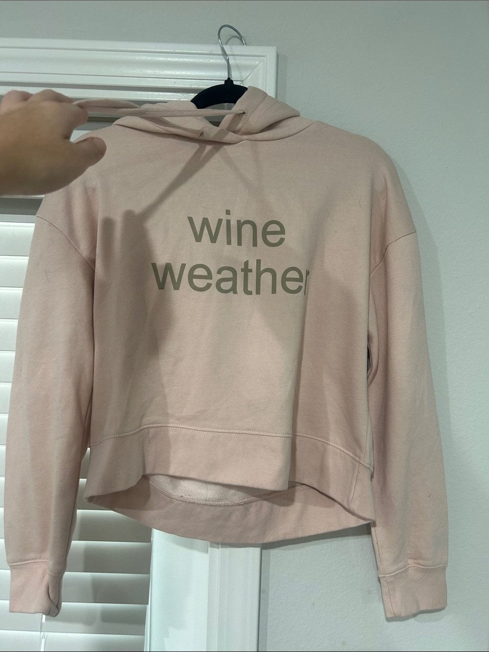 District “Wine Weather” light pink sweater, hooded. small